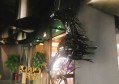 杭州天玺大酒店豪华KTV：尊享音乐盛宴，尽在天玺之夜
